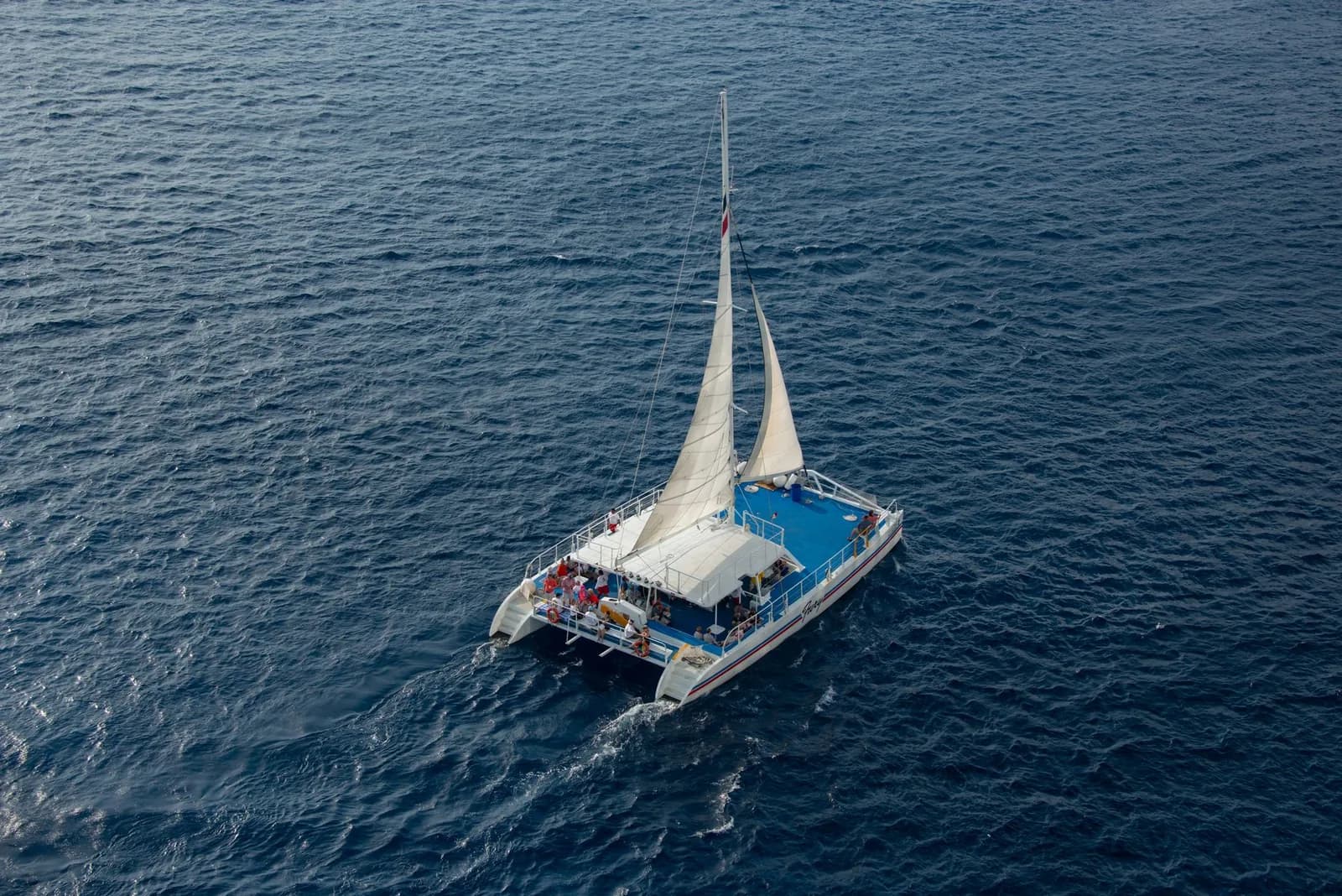 Catamaran d'excursion sous voile avec des passagers à bord en pleine mer