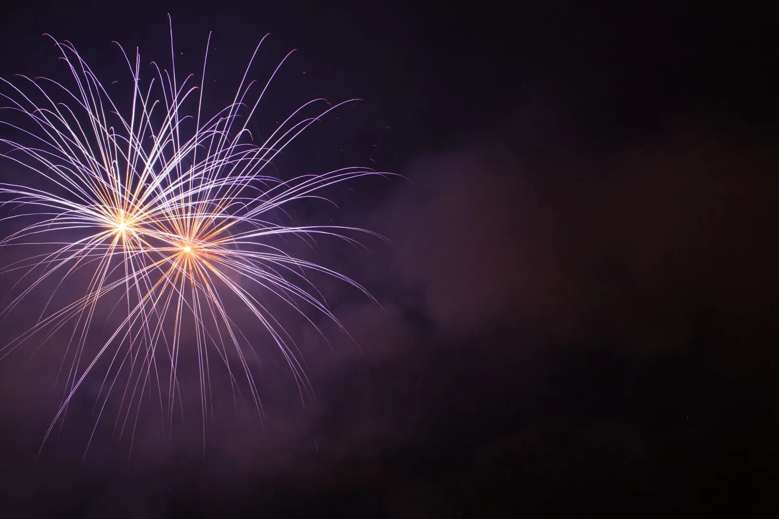 Feu d'artifice illuminant le ciel nocturne pour le Nouvel An