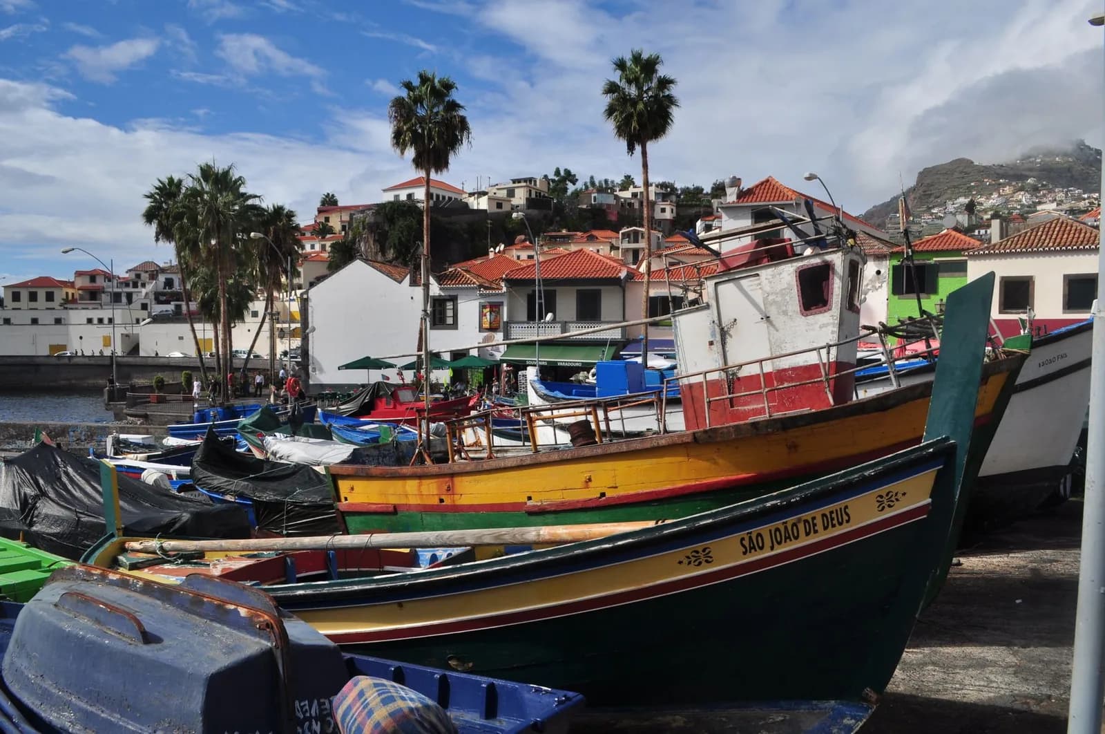 Barques de pêche colorées sur le quai de Câmara de Lobos, Madère