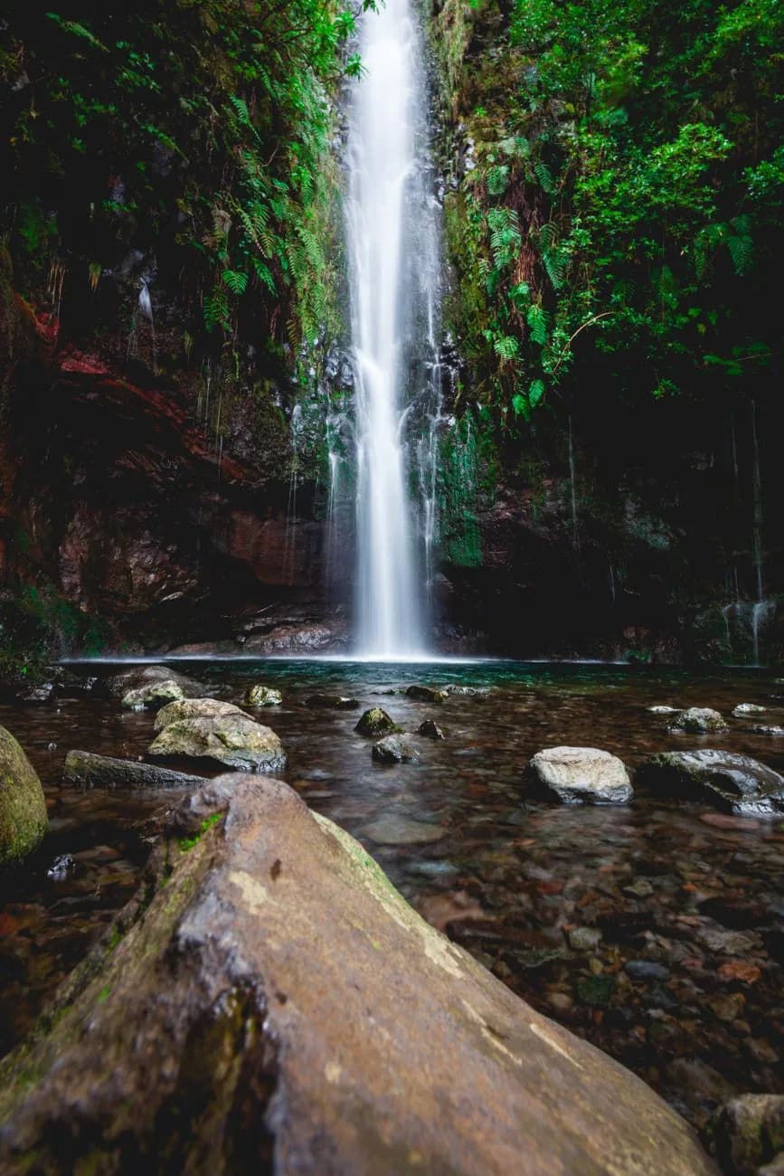 Cascade tombant dans un bassin vert au bout de la Levada das 25 Fontes, Rabaçal, Madère