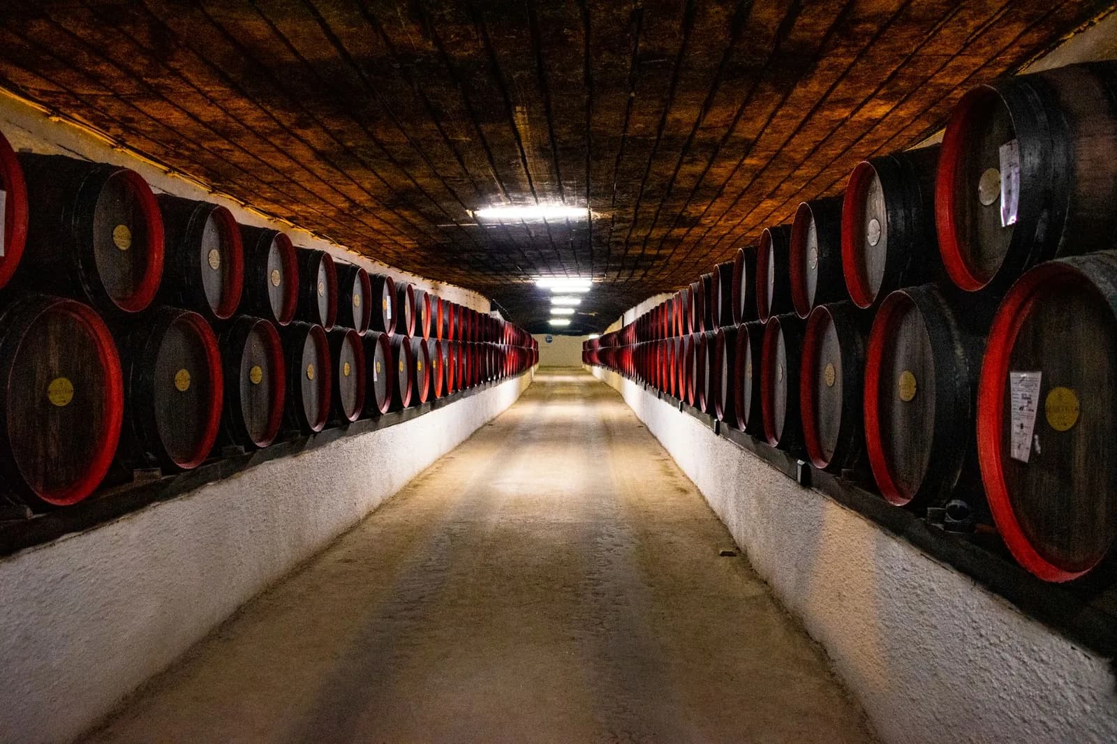 Chai de vieillissement du vin de Madère en barriques de chêne