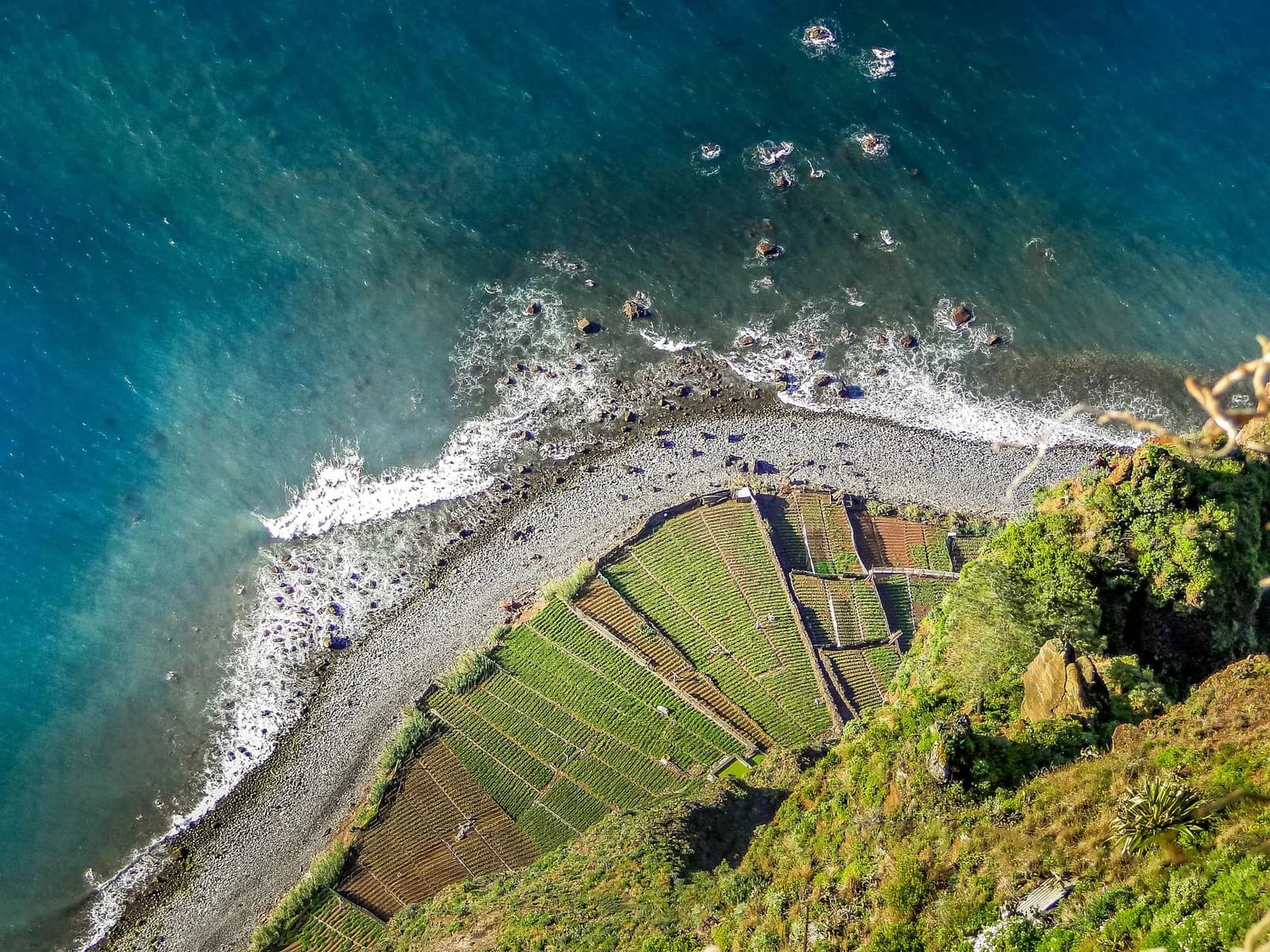 Vue plongeante depuis le Cabo Girão sur les fajãs, cultures en terrasse au pied de la falaise à Madère
