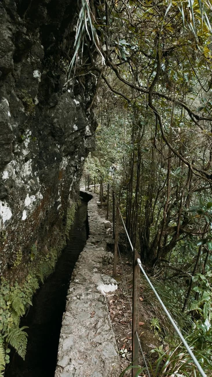 Sentier étroit longeant la levada à flanc de rocher dans la laurisylve de Madère