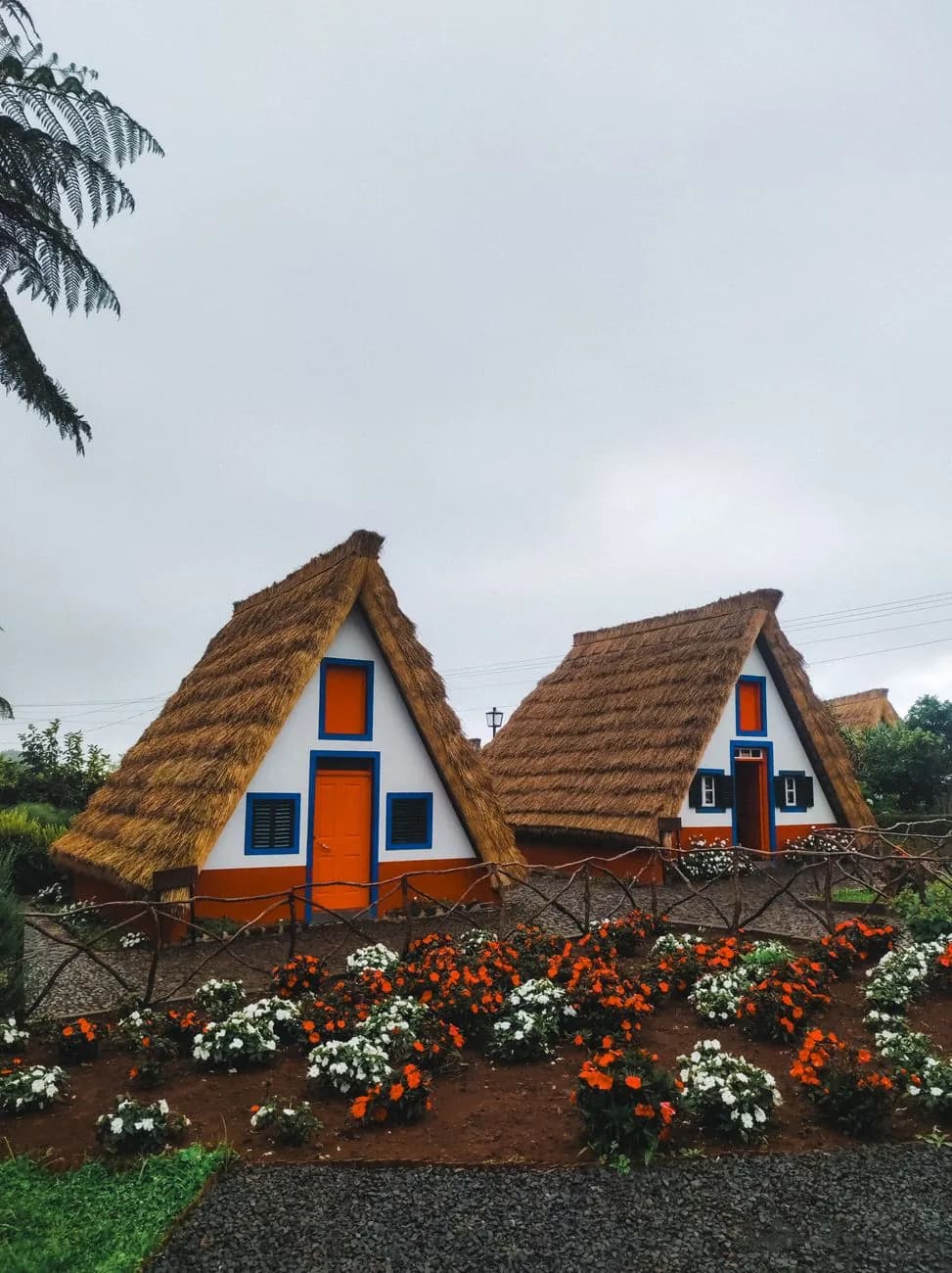 Maisons typiques triangulaires au toit de chaume et parterres fleuris à Santana, Madère