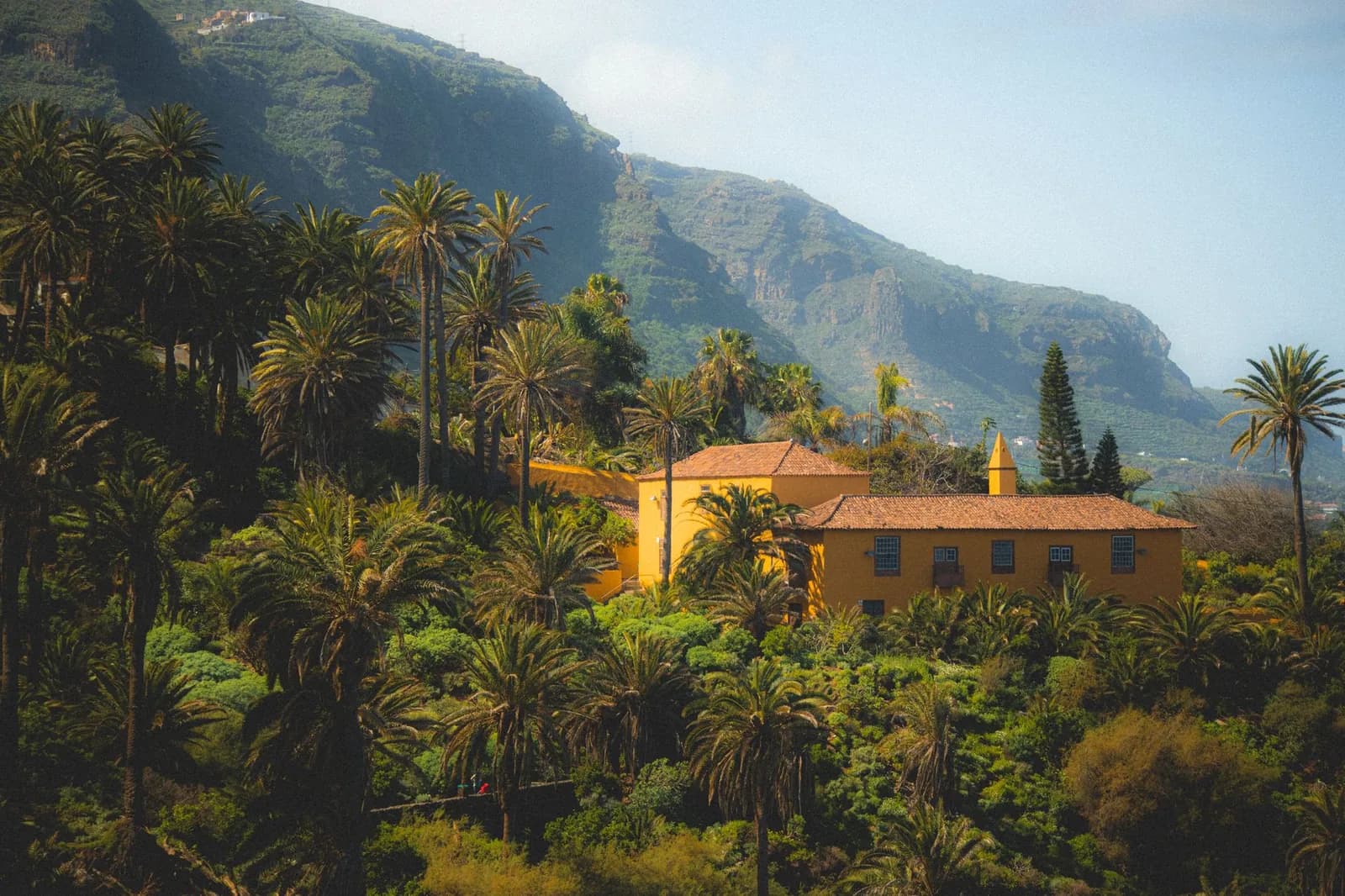 Végétation subtropicale et quinta sous le soleil, l'ambiance douce de Madère