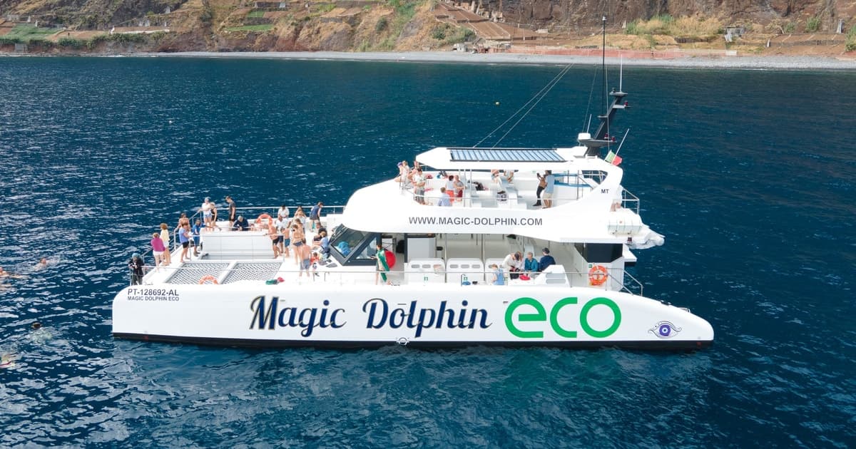 Catamaran d'observation des dauphins au départ de Funchal
