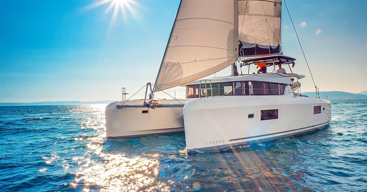 Croisière cétacés en catamaran de luxe